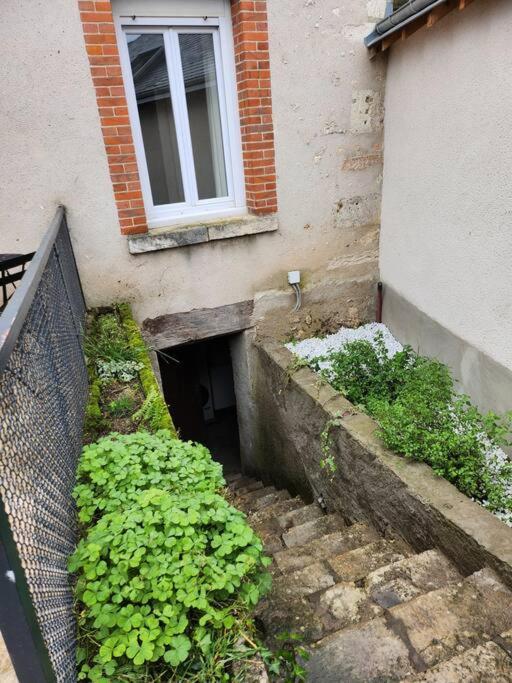 La Maisonnette Des Hautes Granges Blois Bagian luar foto