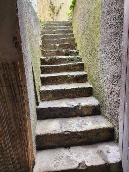 La Maisonnette Des Hautes Granges Blois Bagian luar foto